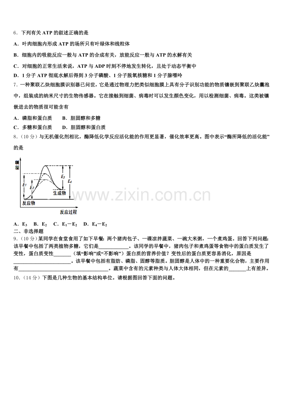 2026届山东省济南外国语三箭分校高一生物第一学期期末经典模拟试题含解析.doc_第2页