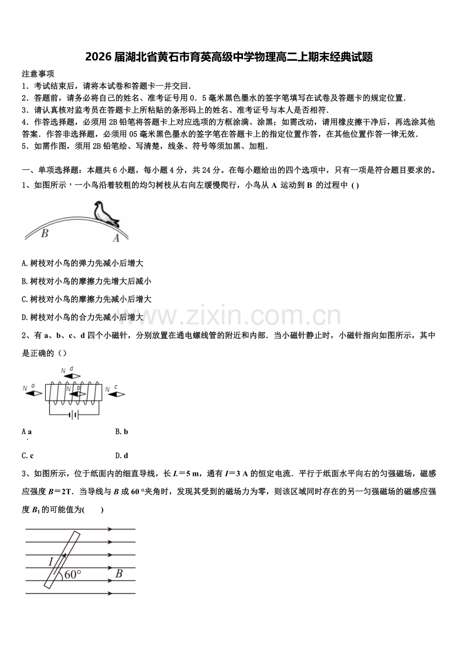 2026届湖北省黄石市育英高级中学物理高二上期末经典试题含解析.doc_第1页