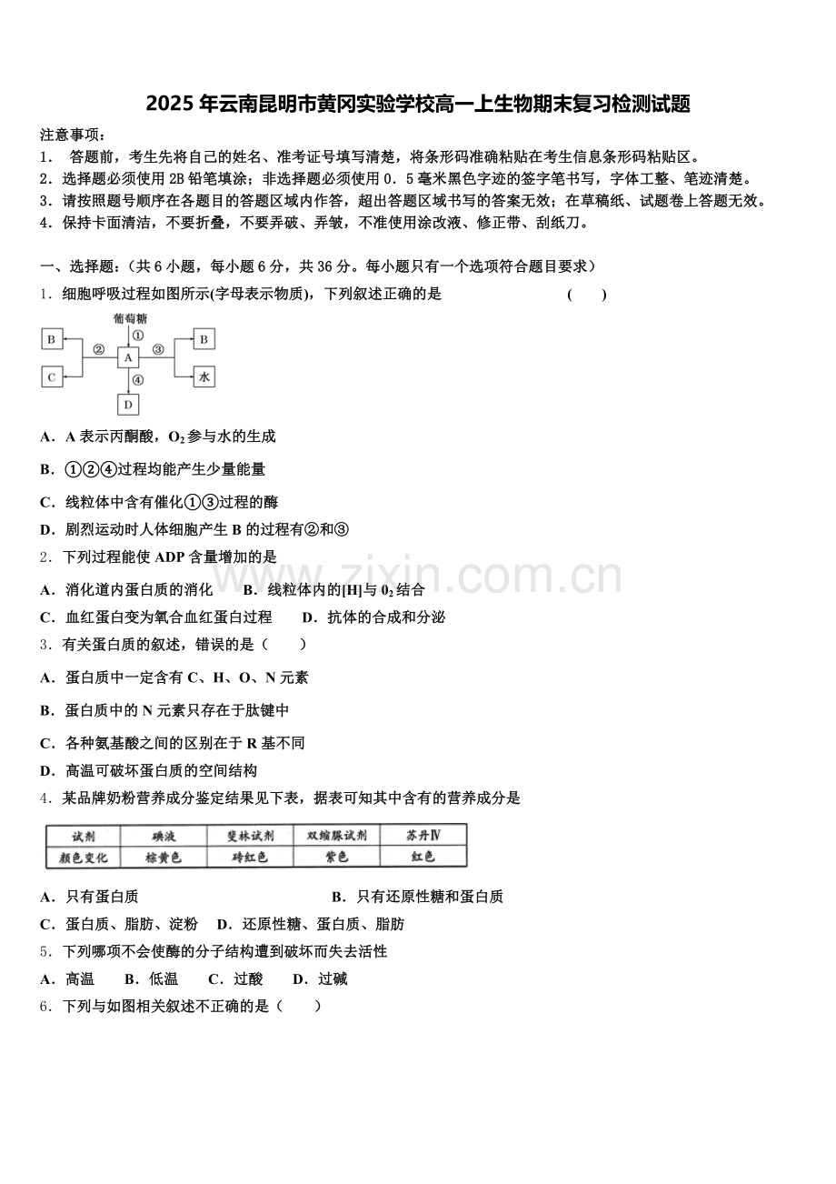2025年云南昆明市黄冈实验学校高一上生物期末复习检测试题含解析.doc_第1页