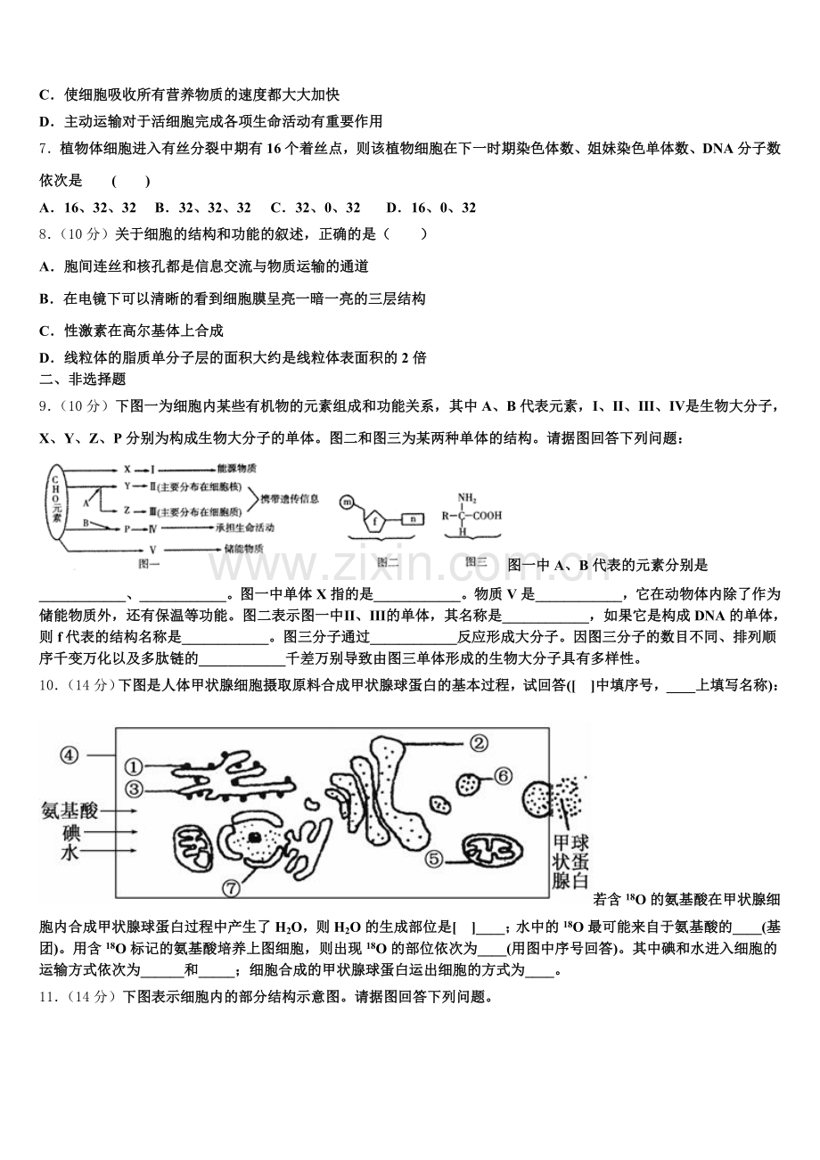 江苏新沂一中2025-2026学年生物高一上期末调研模拟试题含解析.doc_第2页
