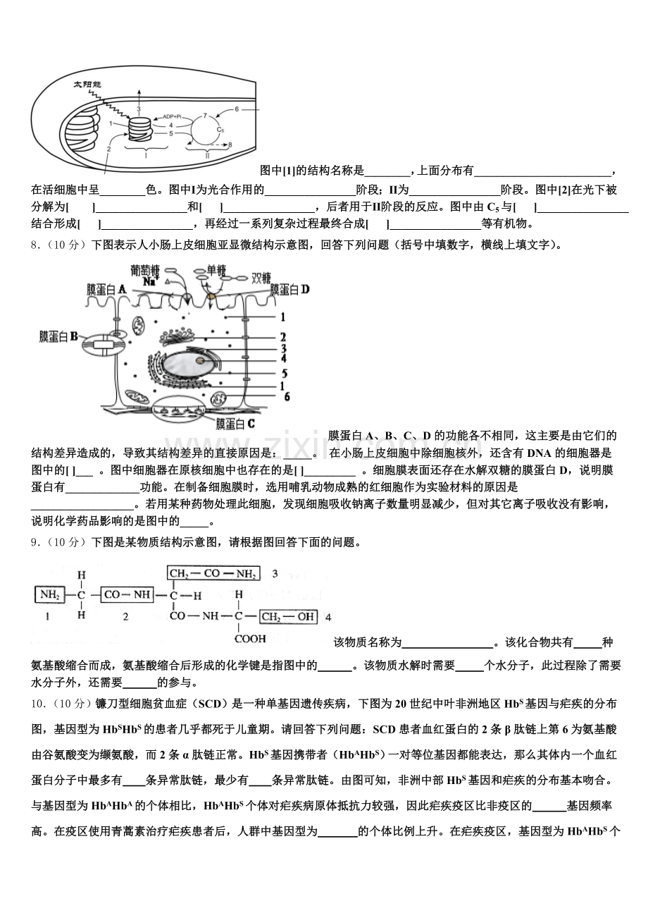 山西省达标名校2025年高一生物第一学期期末统考模拟试题含解析.doc_第2页