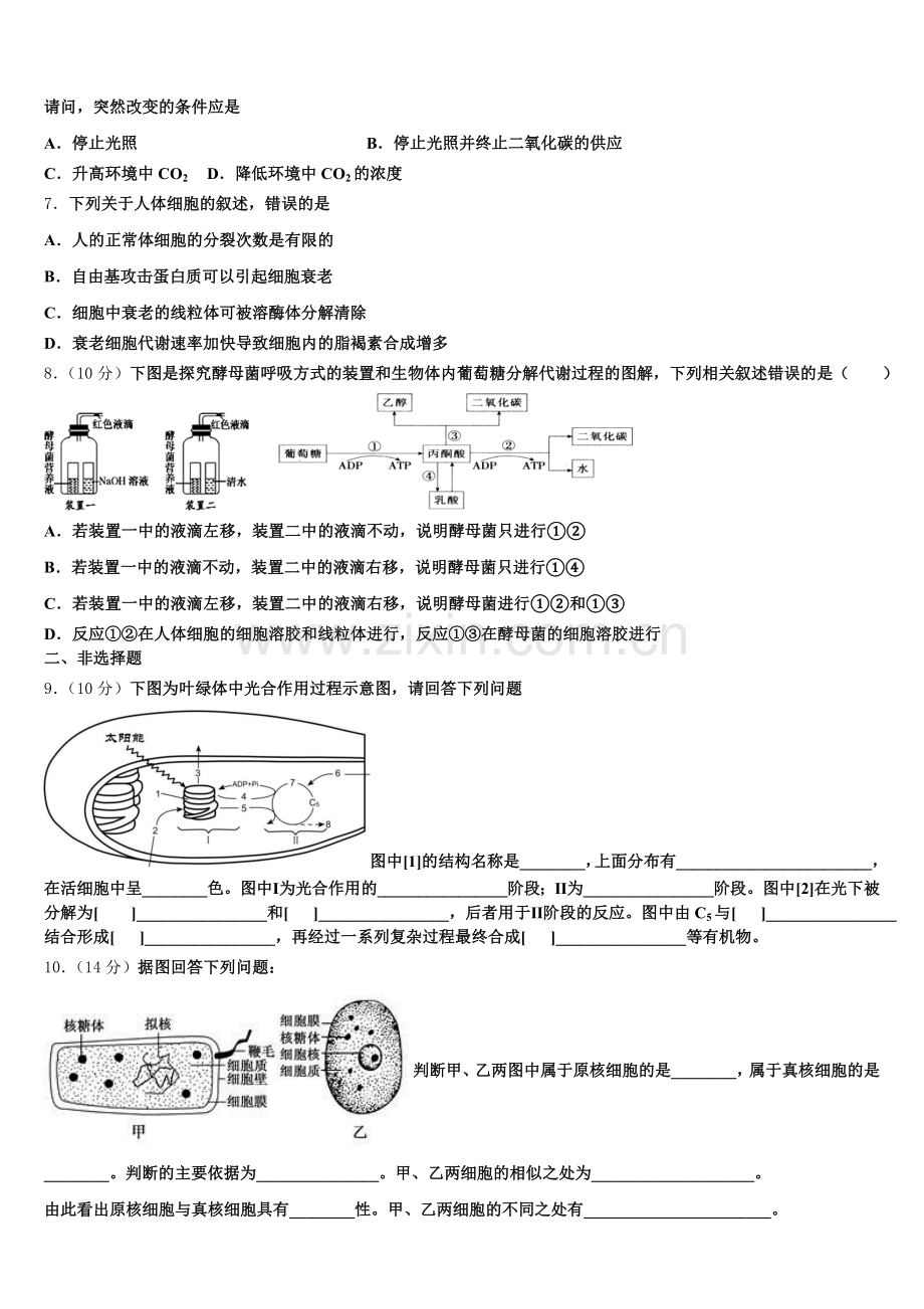 2025年山西省六校高一生物第一学期期末调研模拟试题含解析.doc_第2页