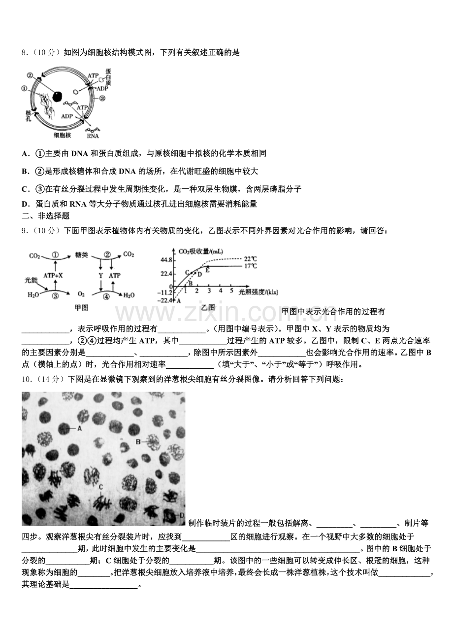 山东省德州市夏津县双语中学2025年高一上生物期末质量检测试题含解析.doc_第2页