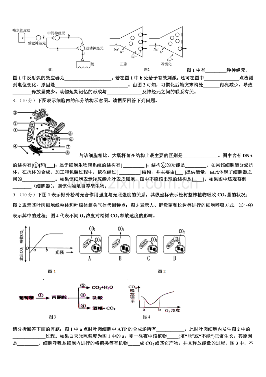 上海市同洲模范学校2026届生物高一第一学期期末统考试题含解析.doc_第2页