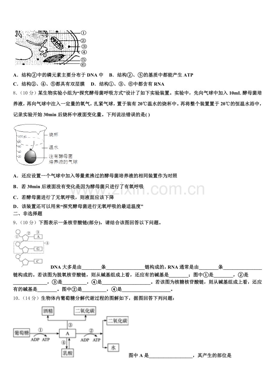 新疆乌鲁木齐市天山区兵团第二中学2025-2026学年高一上生物期末联考模拟试题含解析.doc_第2页