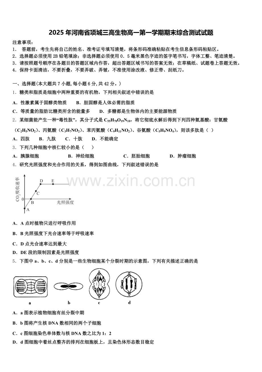 2025年河南省项城三高生物高一第一学期期末综合测试试题含解析.doc_第1页