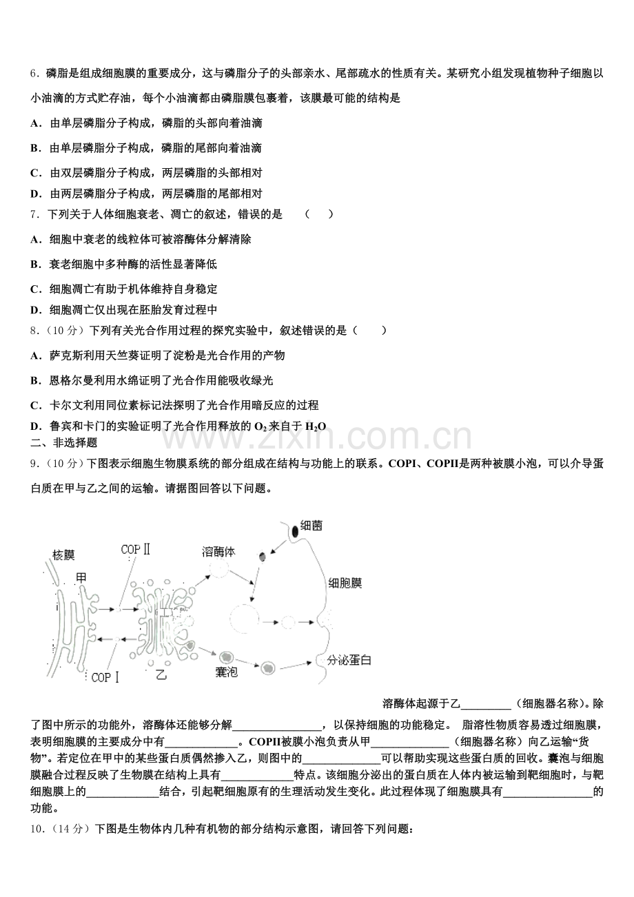2025年河南省项城三高生物高一第一学期期末综合测试试题含解析.doc_第2页