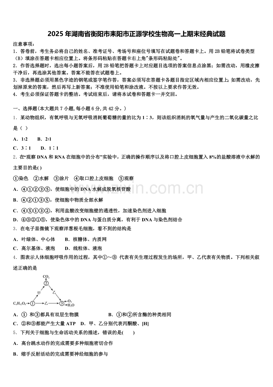 2025年湖南省衡阳市耒阳市正源学校生物高一上期末经典试题含解析.doc_第1页