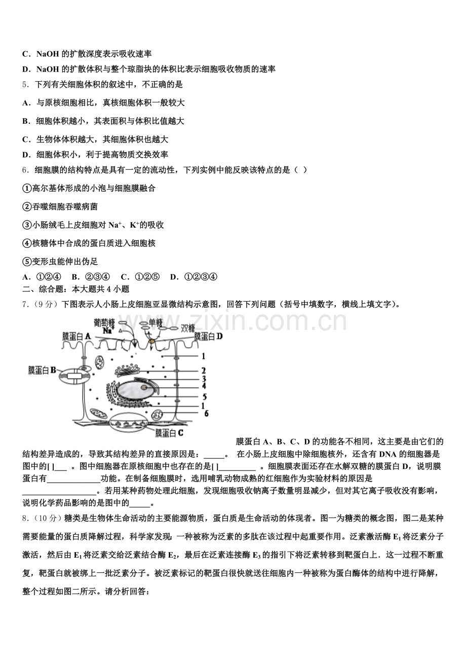 四川省绿然国际学校2025-2026学年高一上生物期末质量检测试题含解析.doc_第2页