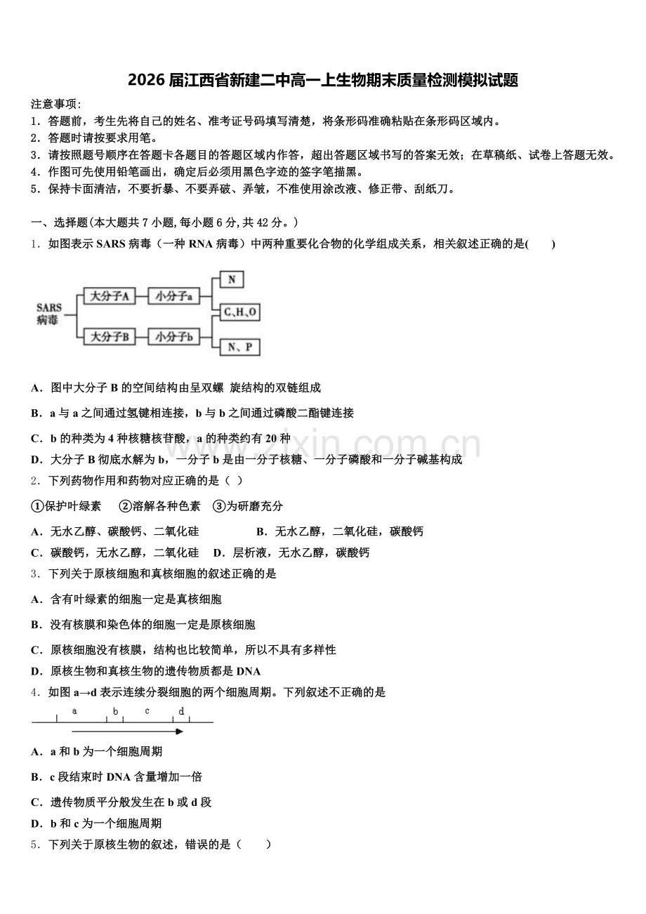 2026届江西省新建二中高一上生物期末质量检测模拟试题含解析.doc_第1页
