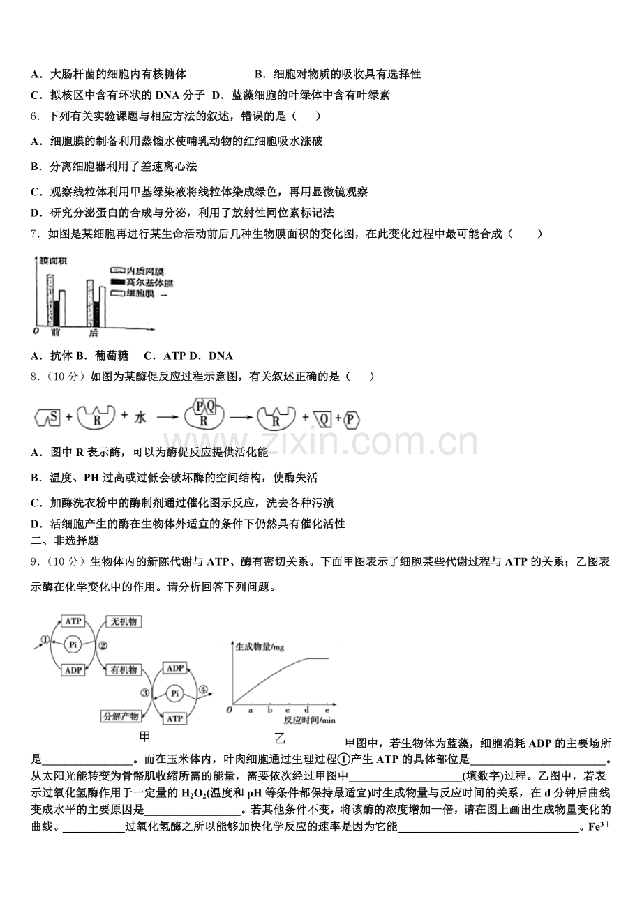 2026届江西省新建二中高一上生物期末质量检测模拟试题含解析.doc_第2页
