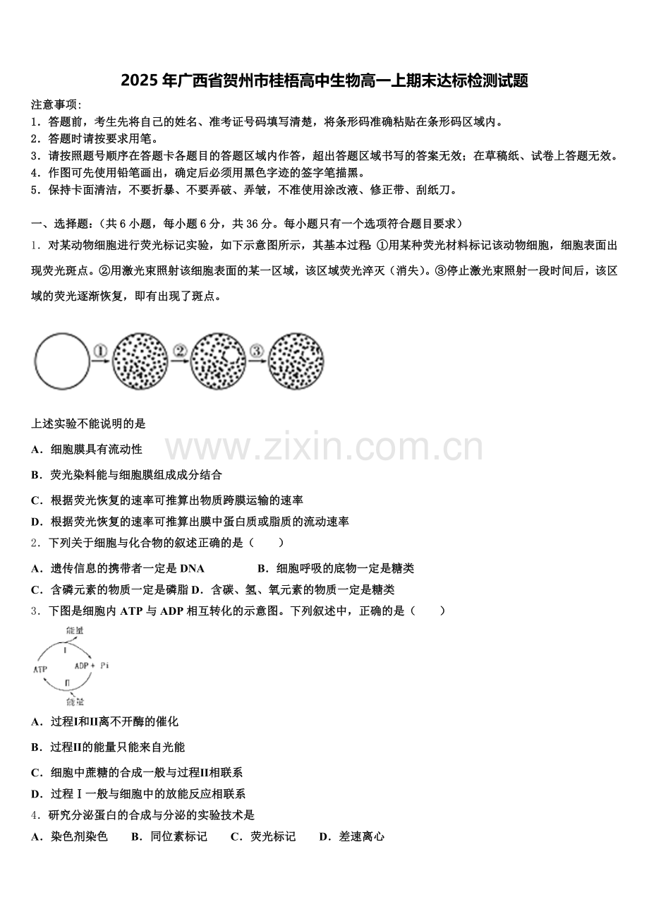 2025年广西省贺州市桂梧高中生物高一上期末达标检测试题含解析.doc_第1页