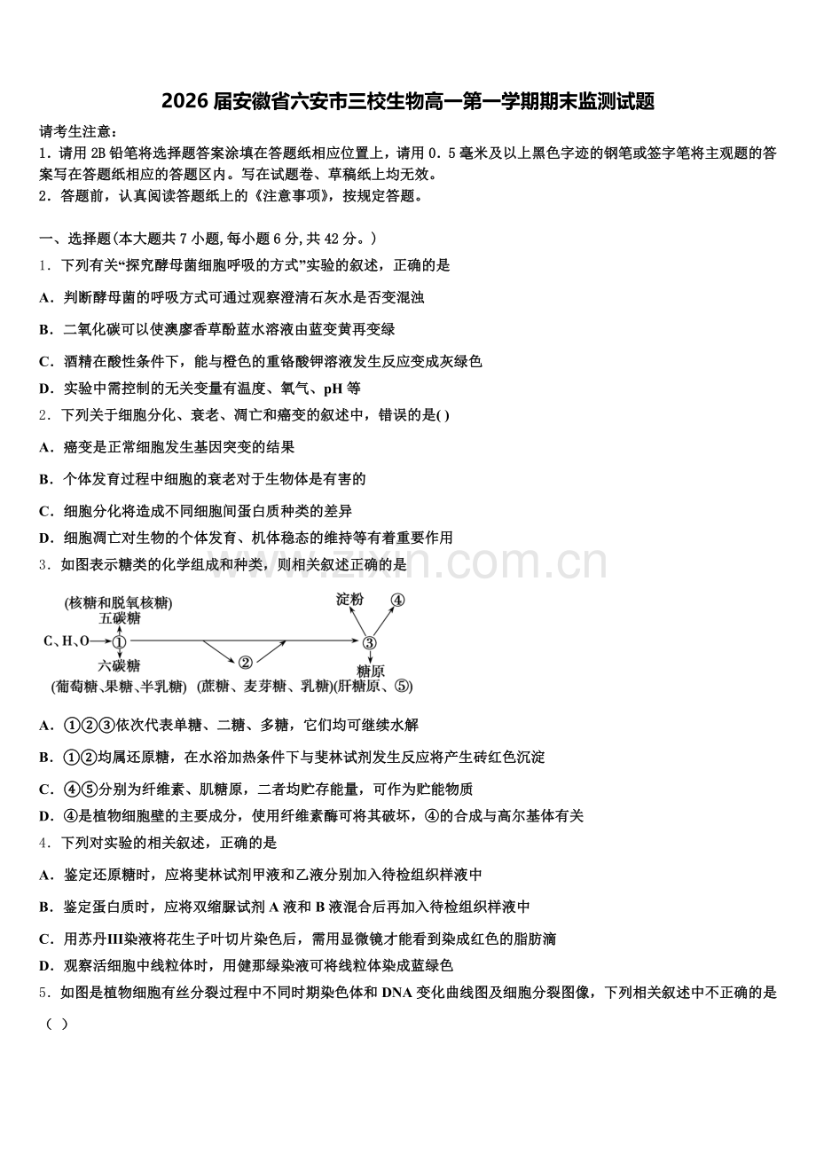 2026届安徽省六安市三校生物高一第一学期期末监测试题含解析.doc_第1页