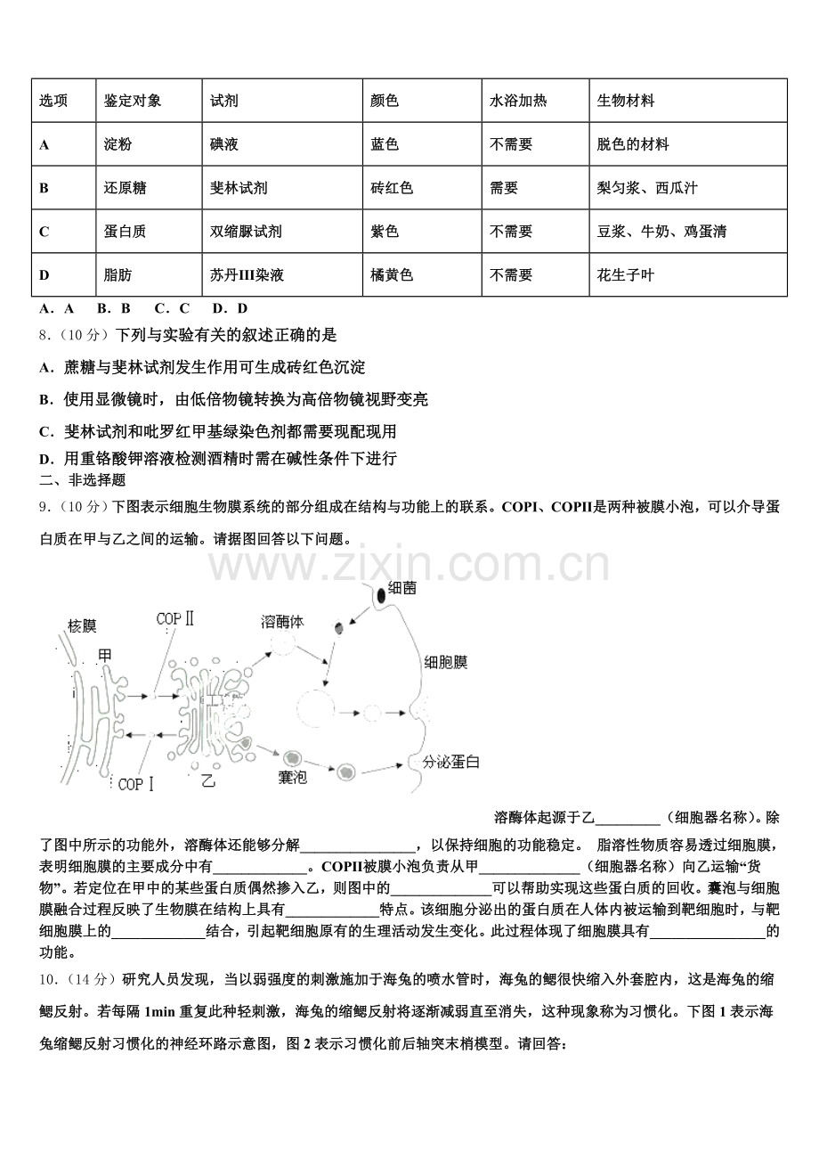 2025-2026学年四川省攀枝花市第十二中学高一上生物期末预测试题含解析.doc_第2页