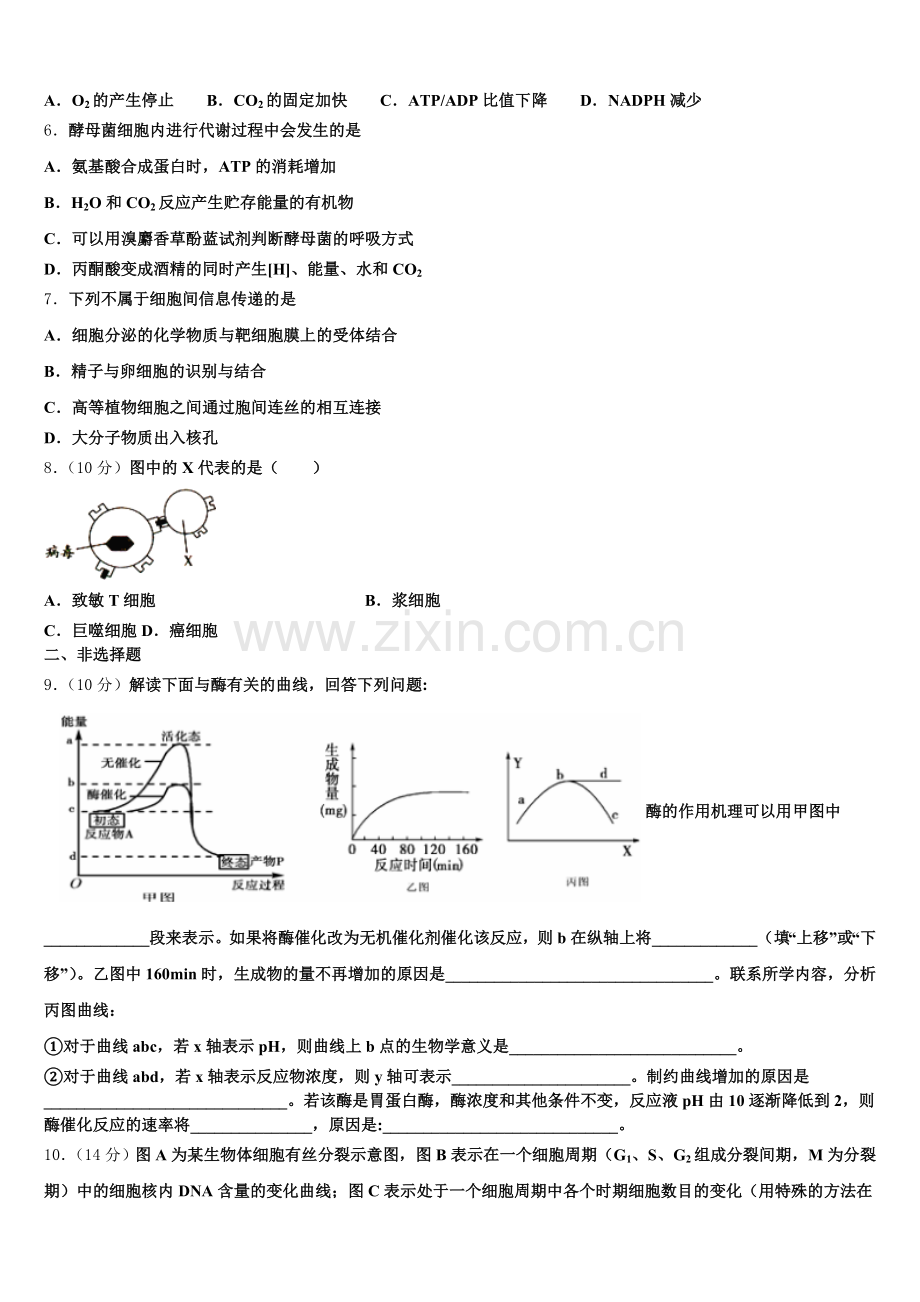 2025年湖南师范大学附中高一上生物期末检测试题含解析.doc_第2页