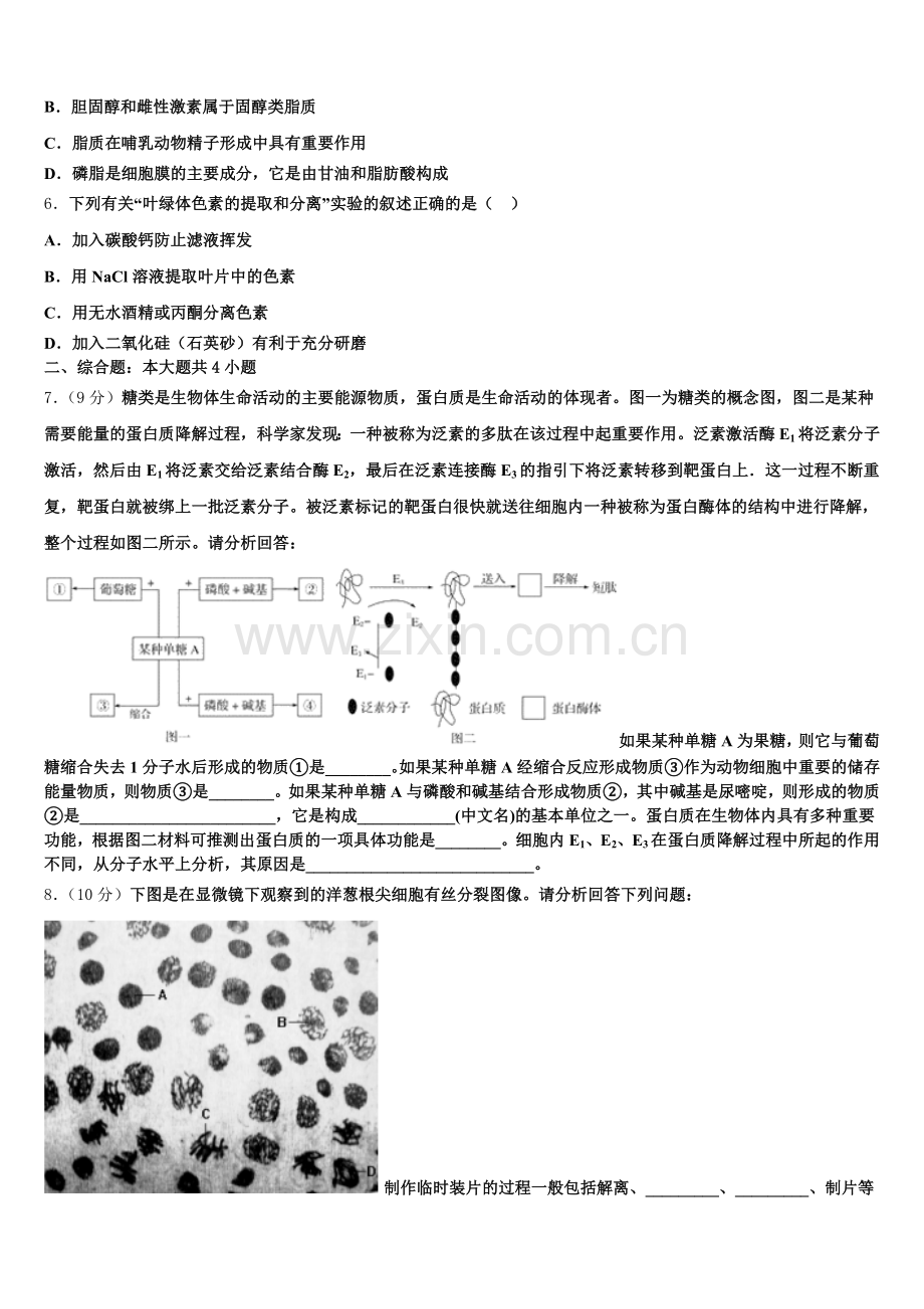 2025年福建省三明市A片区高中联盟校高一生物第一学期期末检测模拟试题含解析.doc_第2页