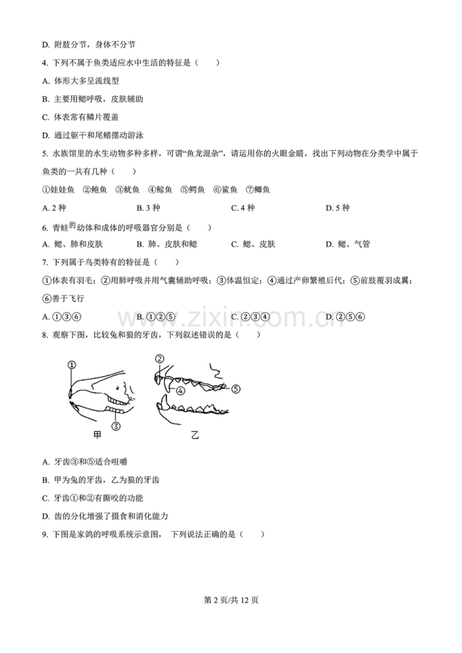2024-2025学年广州市白云区八年级上学期期末生物试卷（含答案）.docx_第2页