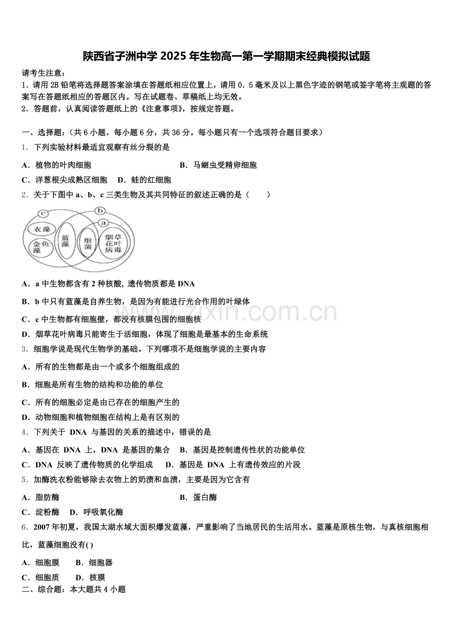 陕西省子洲中学2025年生物高一第一学期期末经典模拟试题含解析.doc_第1页