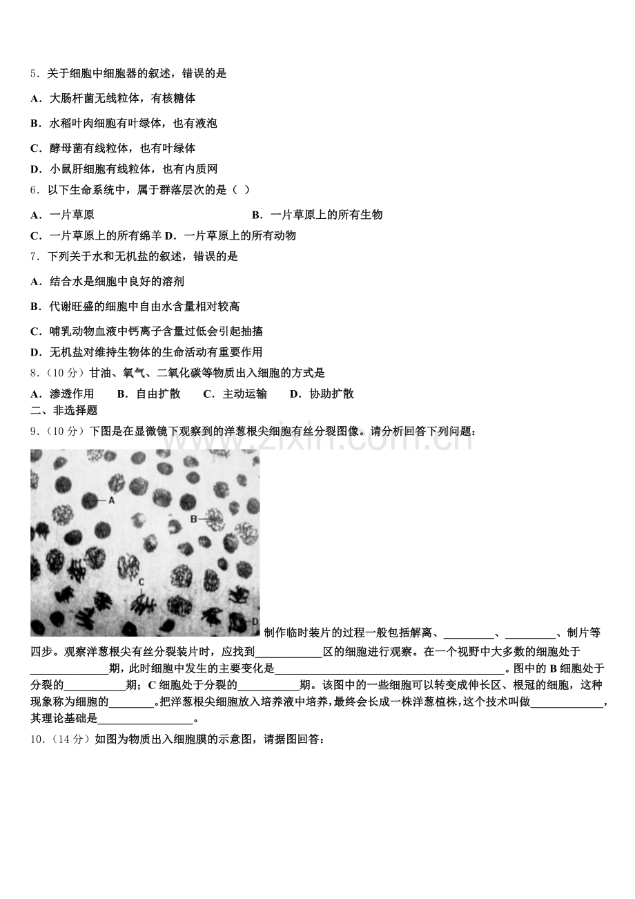 2026届甘肃省庆阳市宁县第二中学高一上生物期末经典试题含解析.doc_第2页
