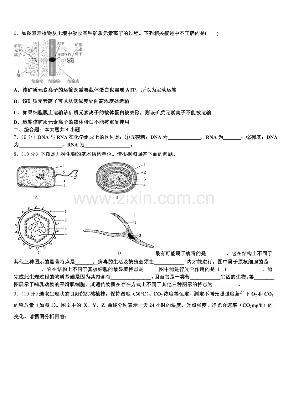 甘肃省嘉峪关市一中2025年高一生物第一学期期末学业质量监测试题含解析.doc_第2页