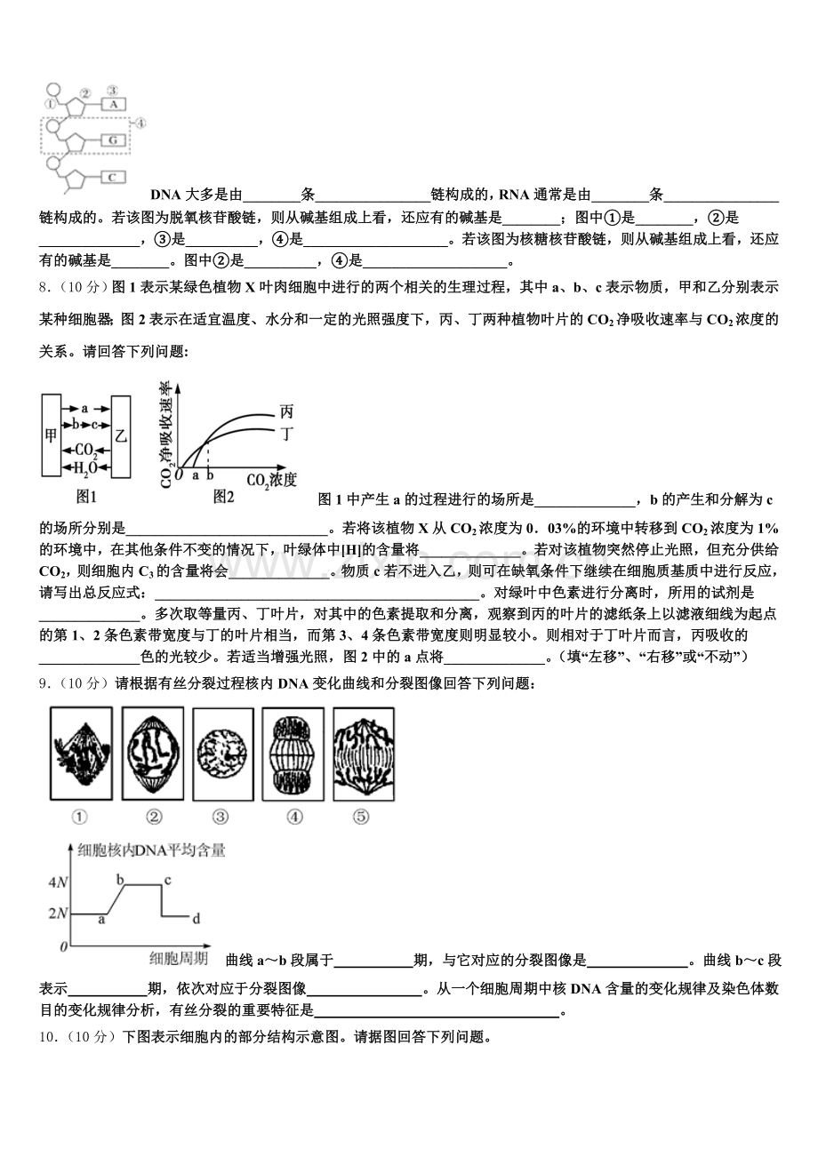 2025年四川省成都市七中生物高一上期末学业质量监测试题含解析.doc_第2页