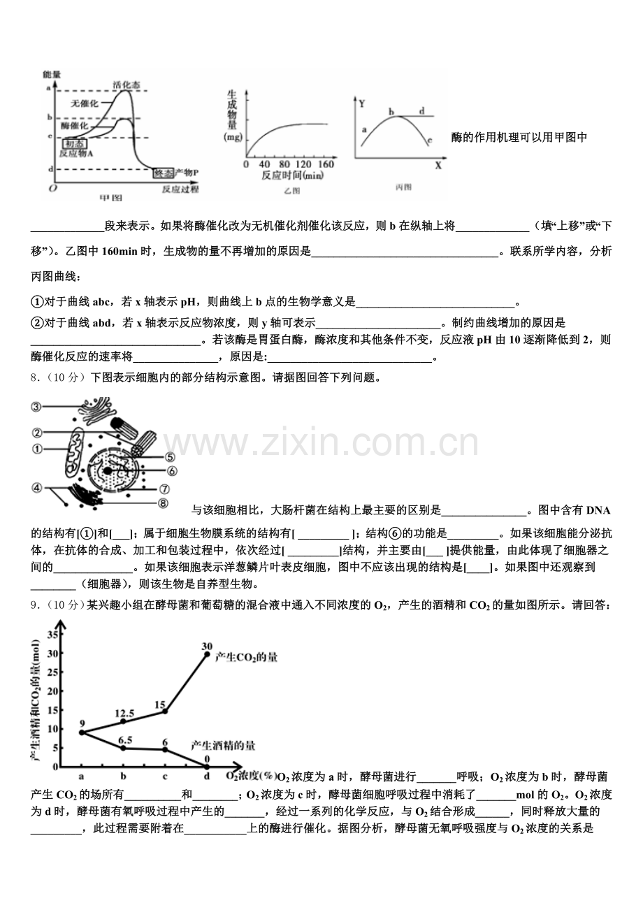 2026届山东阳谷县第五中学高一上生物期末统考试题含解析.doc_第2页