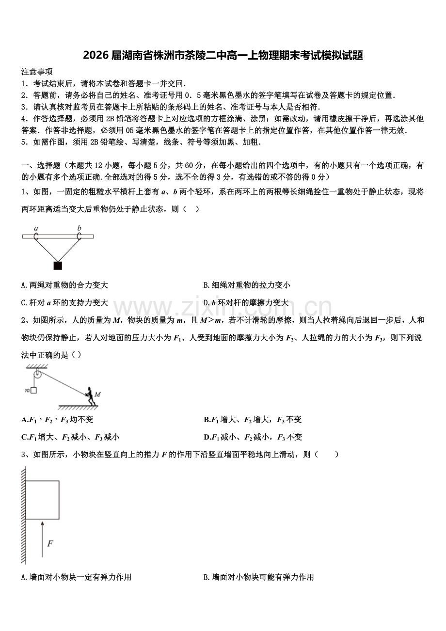 2026届湖南省株洲市茶陵二中高一上物理期末考试模拟试题含解析.doc_第1页
