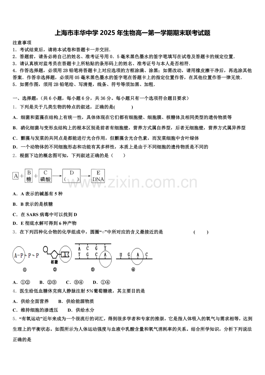 上海市丰华中学2025年生物高一第一学期期末联考试题含解析.doc_第1页