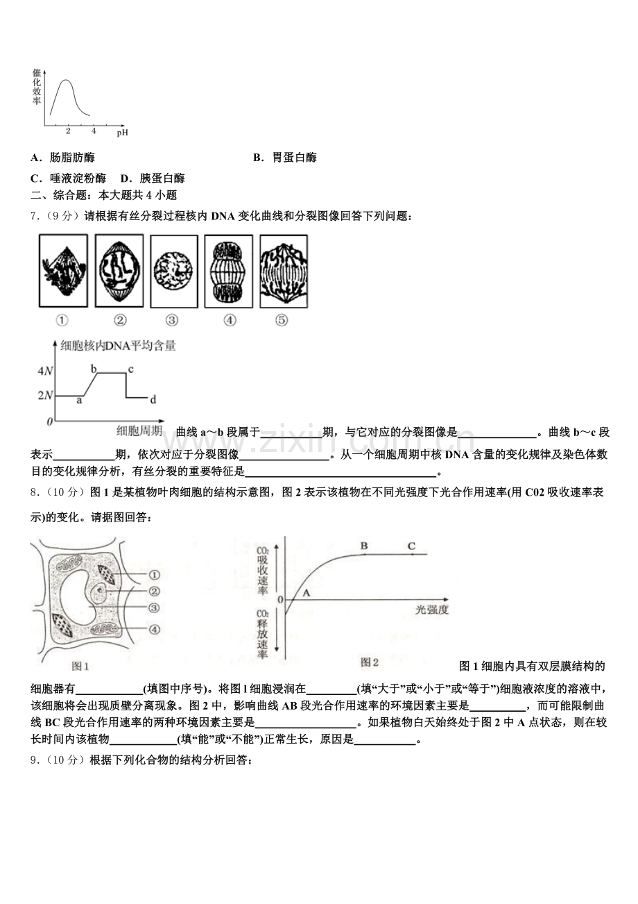 黑龙江省绥滨县第一中学2025年高一上生物期末教学质量检测模拟试题含解析.doc_第2页