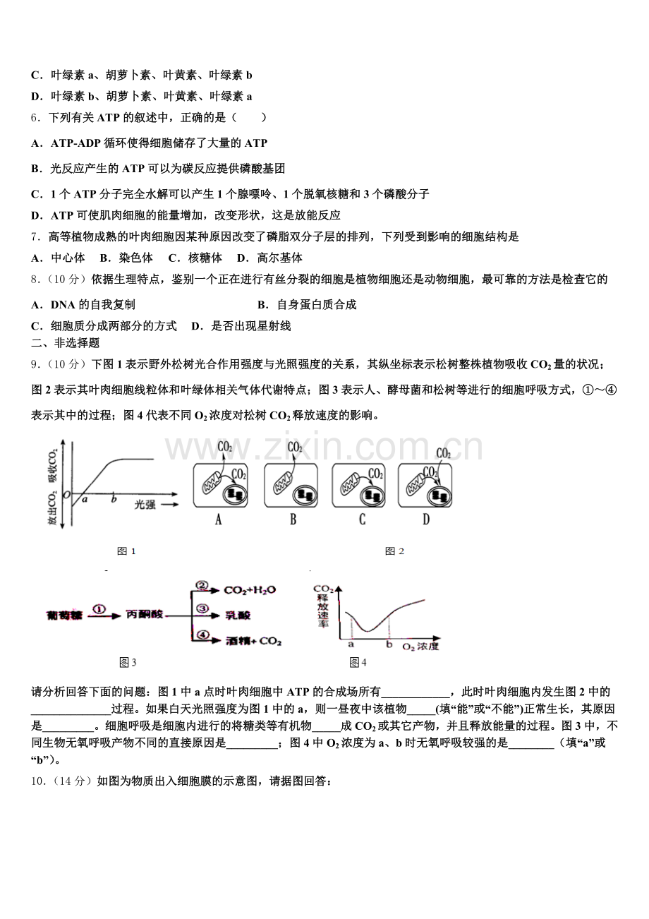 2025年商丘市重点中学高一生物第一学期期末学业水平测试模拟试题含解析.doc_第2页
