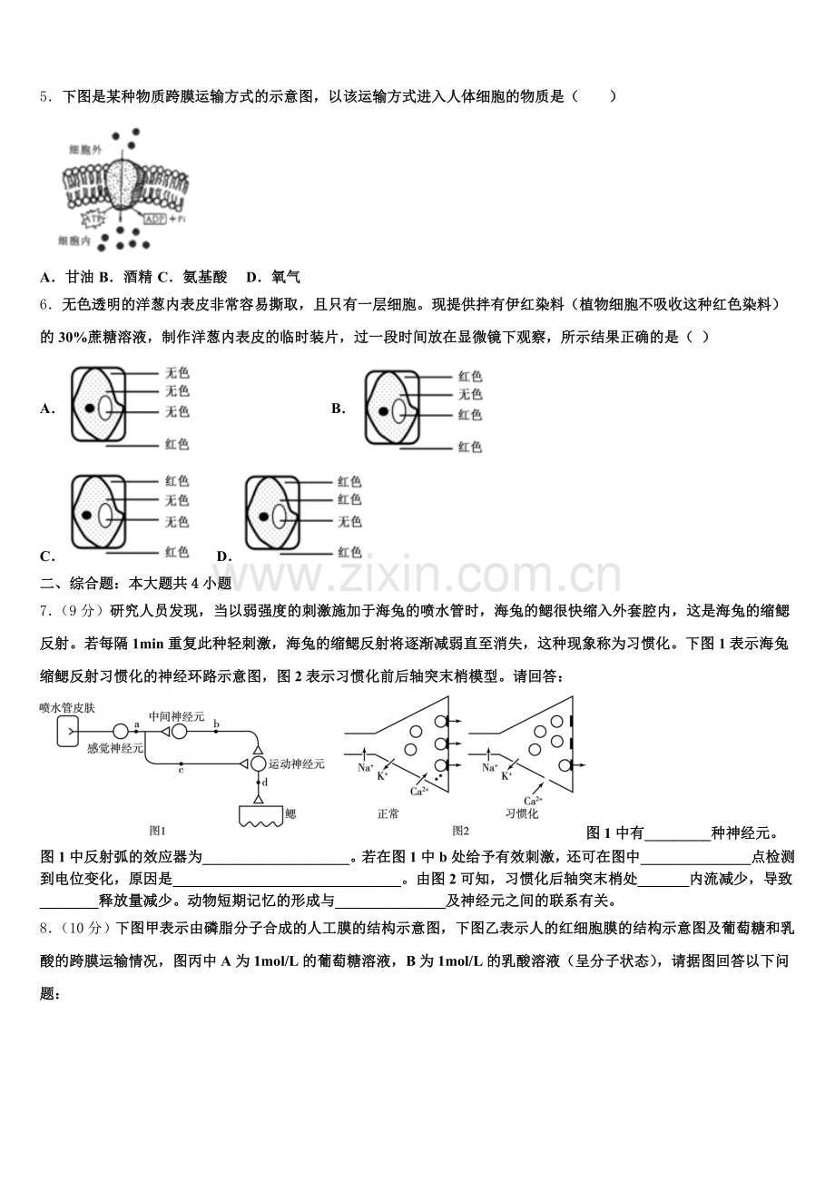 江苏省侯集高级中学2026届高一上生物期末联考试题含解析.doc_第2页