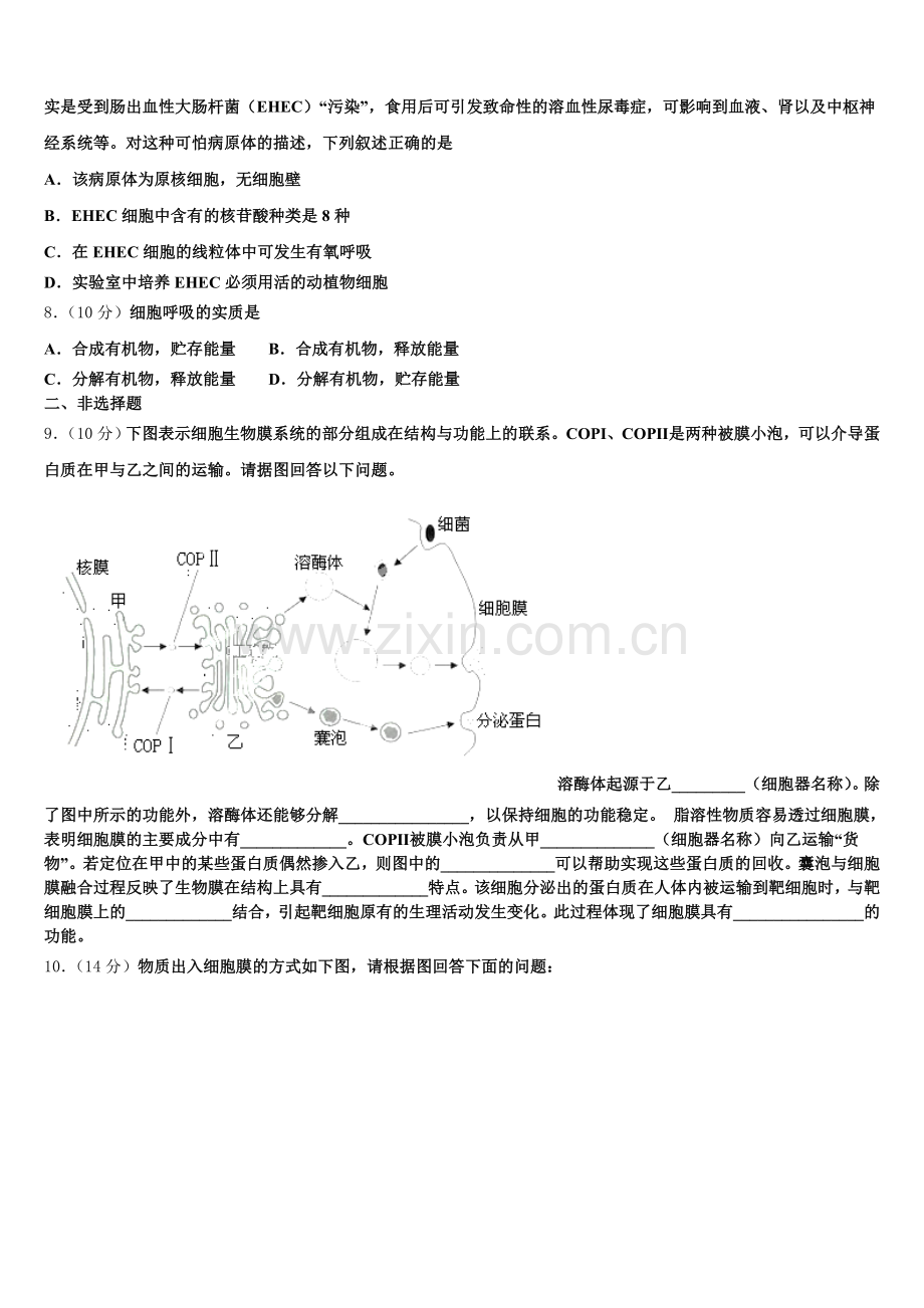 2025年山西省大同市云冈区高一上生物期末检测试题含解析.doc_第2页