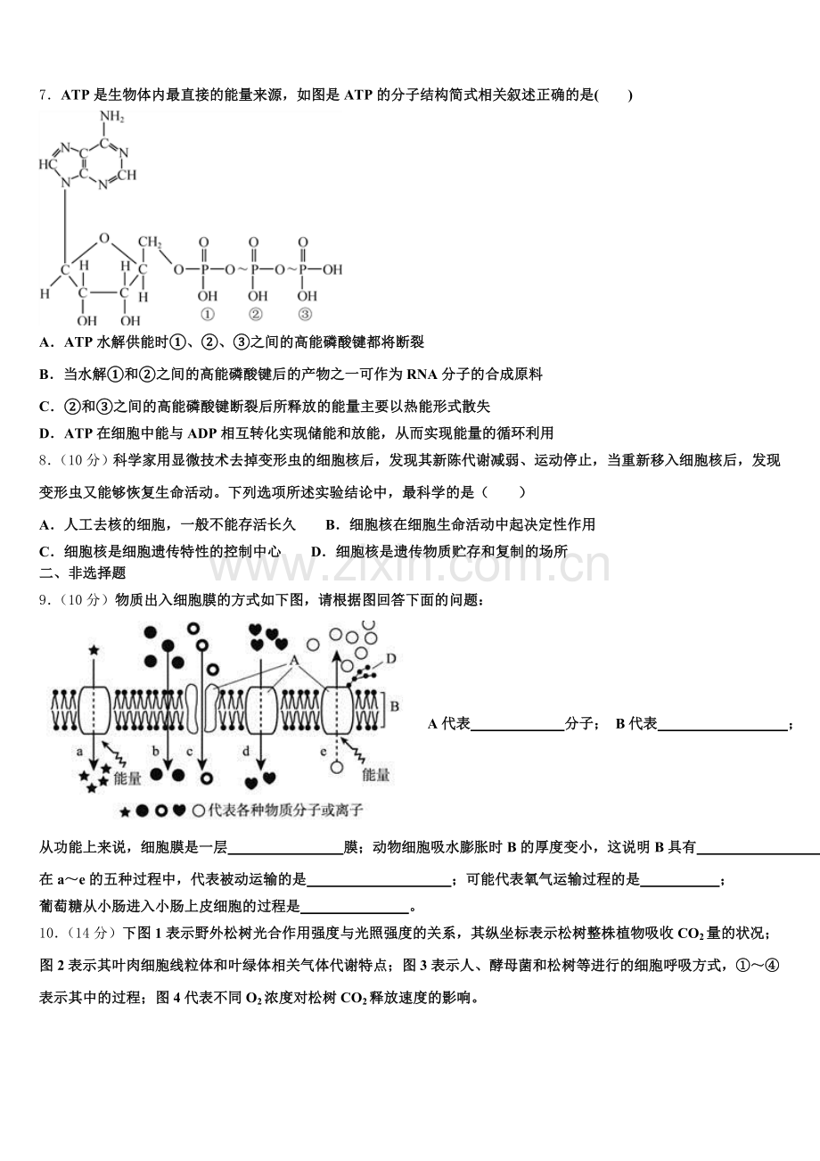 2025年甘肃省古浪县第二中学高一生物第一学期期末综合测试试题含解析.doc_第2页