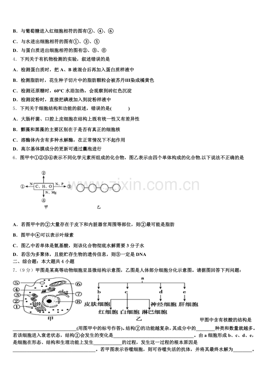 2025年湖北省武汉市汉南区职教中心高一上生物期末达标测试试题含解析.doc_第2页