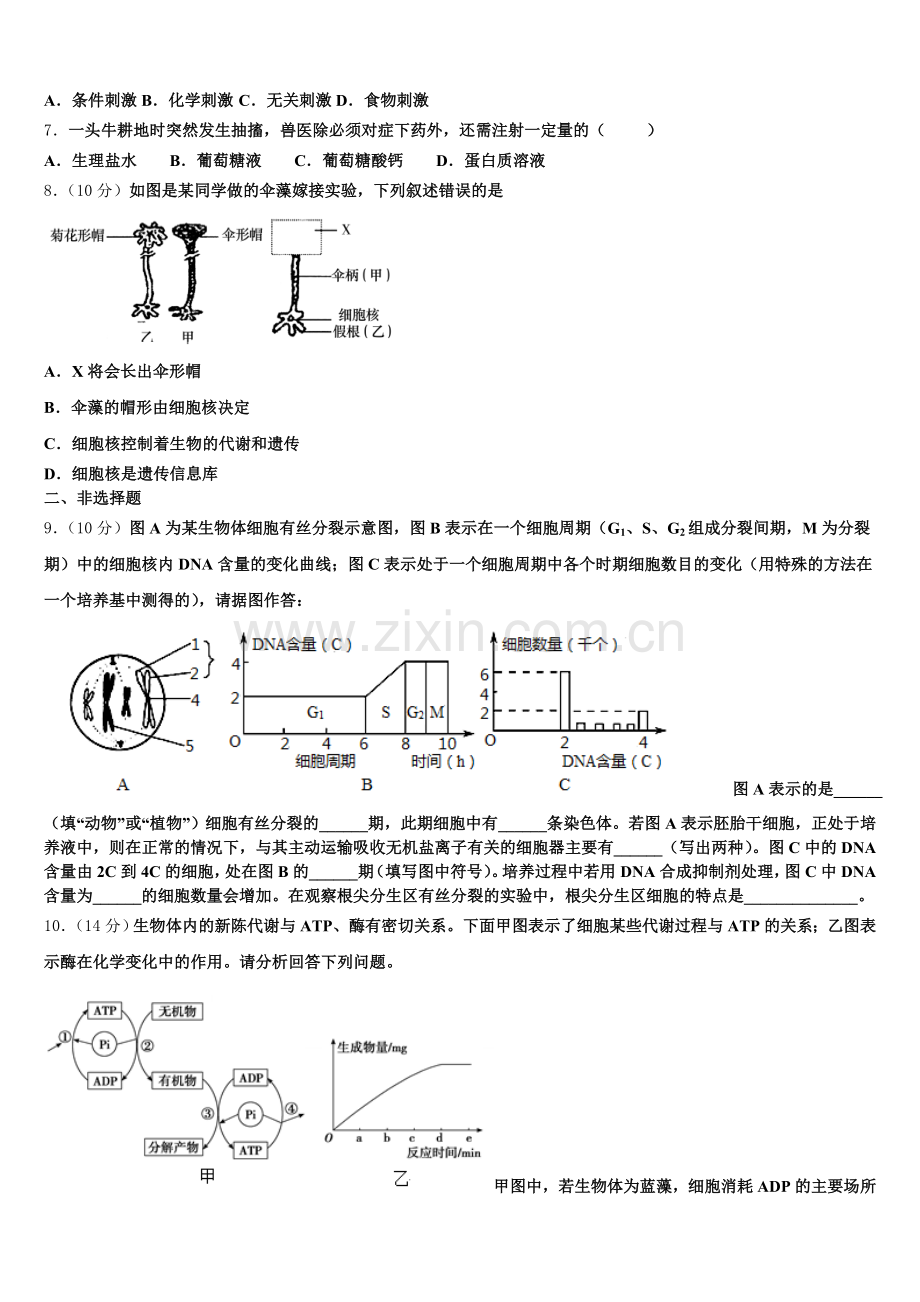 2026届内蒙古自治区乌兰察布市集宁区生物高一上期末经典模拟试题含解析.doc_第2页