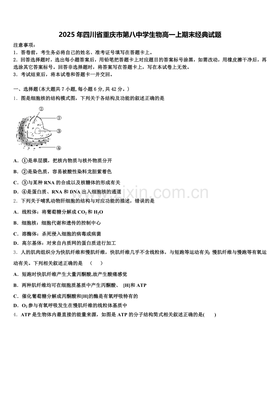 2025年四川省重庆市第八中学生物高一上期末经典试题含解析.doc_第1页