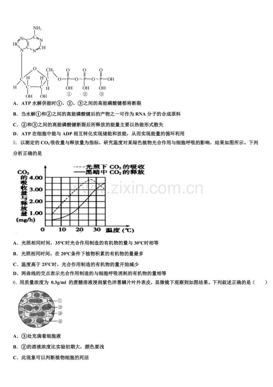 2025年四川省重庆市第八中学生物高一上期末经典试题含解析.doc_第2页