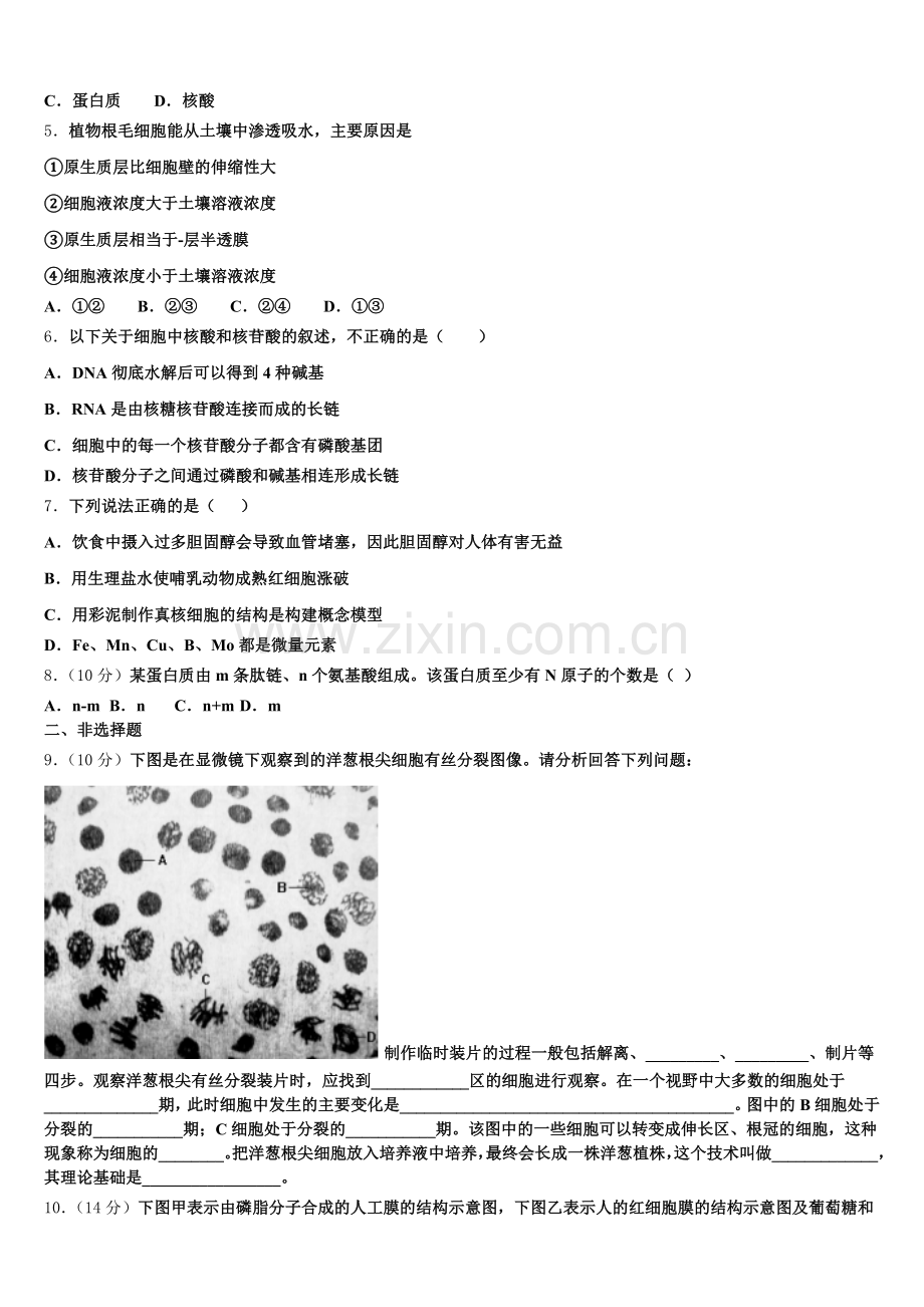2025-2026学年贵州省贵阳清镇北大培文学校贵州校区高一生物第一学期期末调研模拟试题含解析.doc_第2页