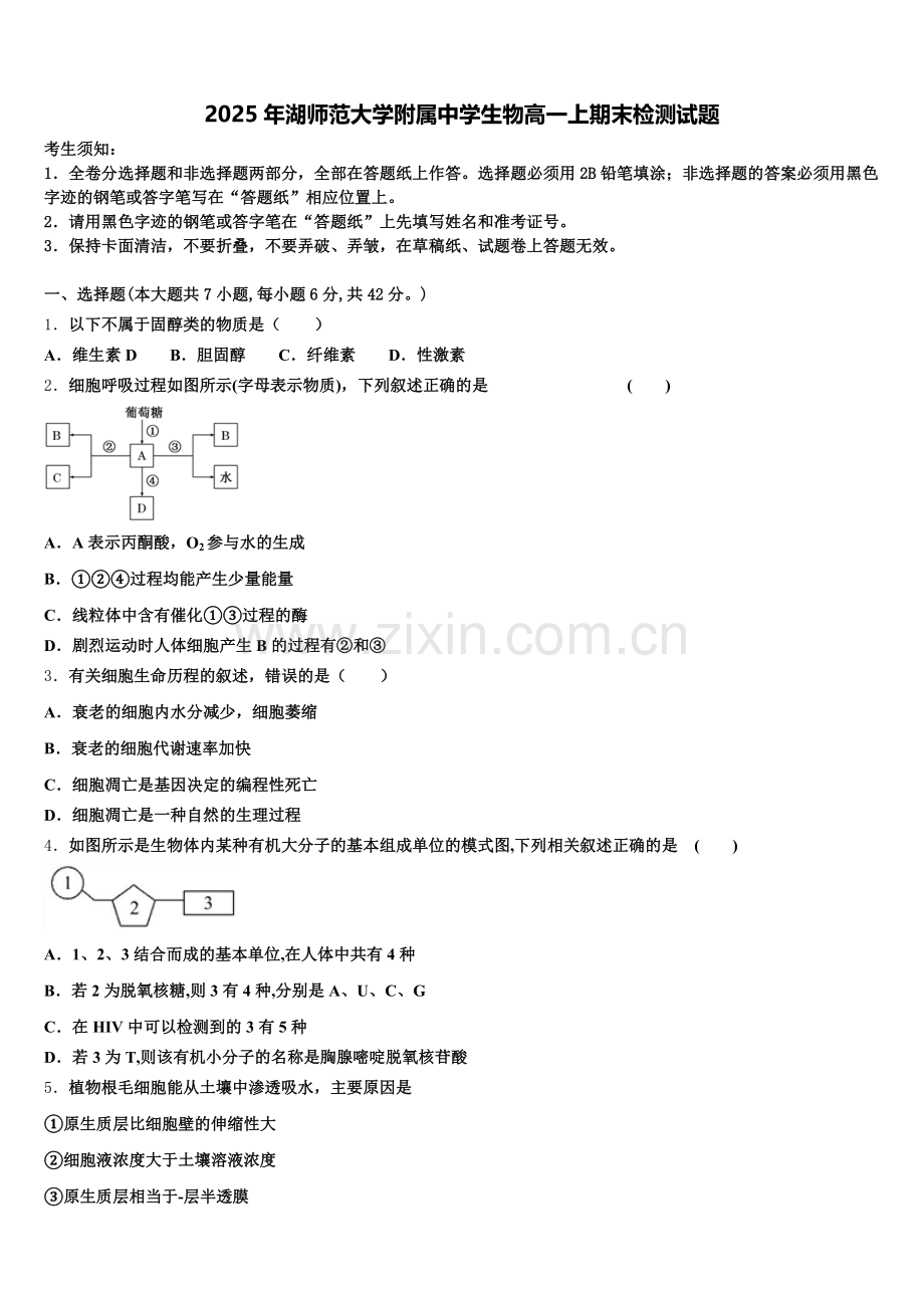 2025年湖师范大学附属中学生物高一上期末检测试题含解析.doc_第1页