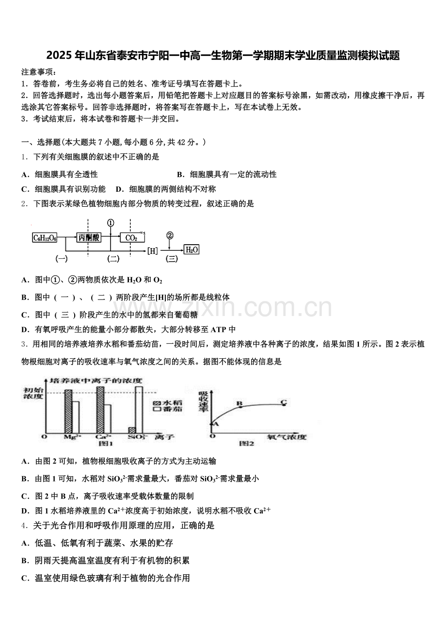 2025年山东省泰安市宁阳一中高一生物第一学期期末学业质量监测模拟试题含解析.doc_第1页