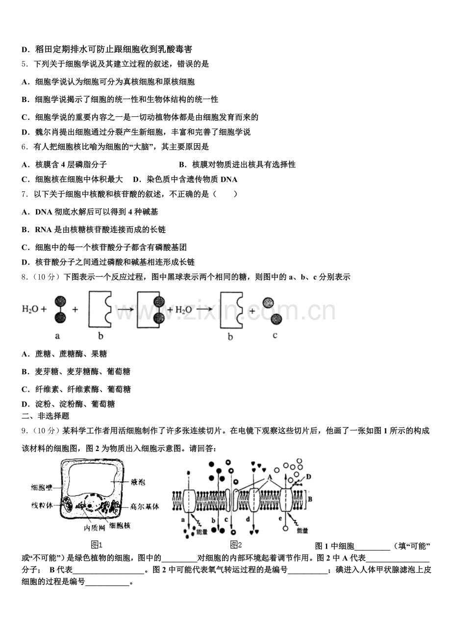 2025年山东省泰安市宁阳一中高一生物第一学期期末学业质量监测模拟试题含解析.doc_第2页