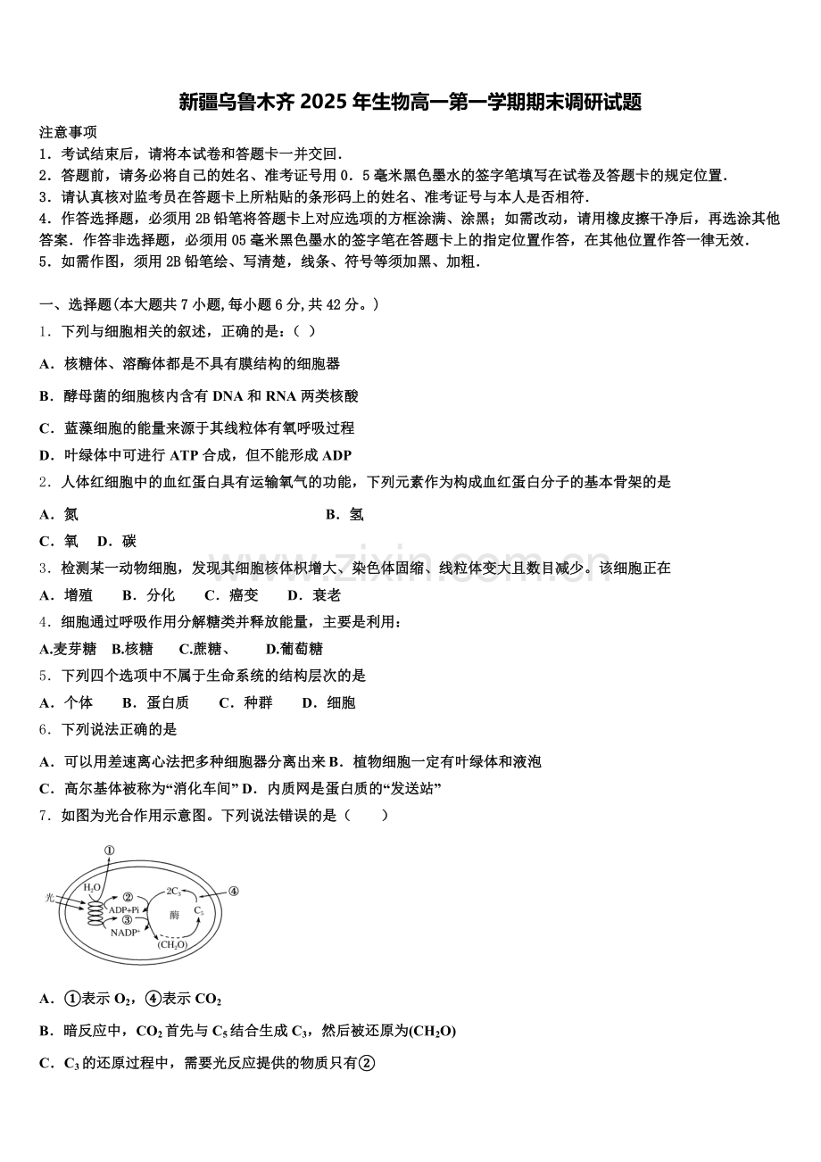 新疆乌鲁木齐2025年生物高一第一学期期末调研试题含解析.doc_第1页