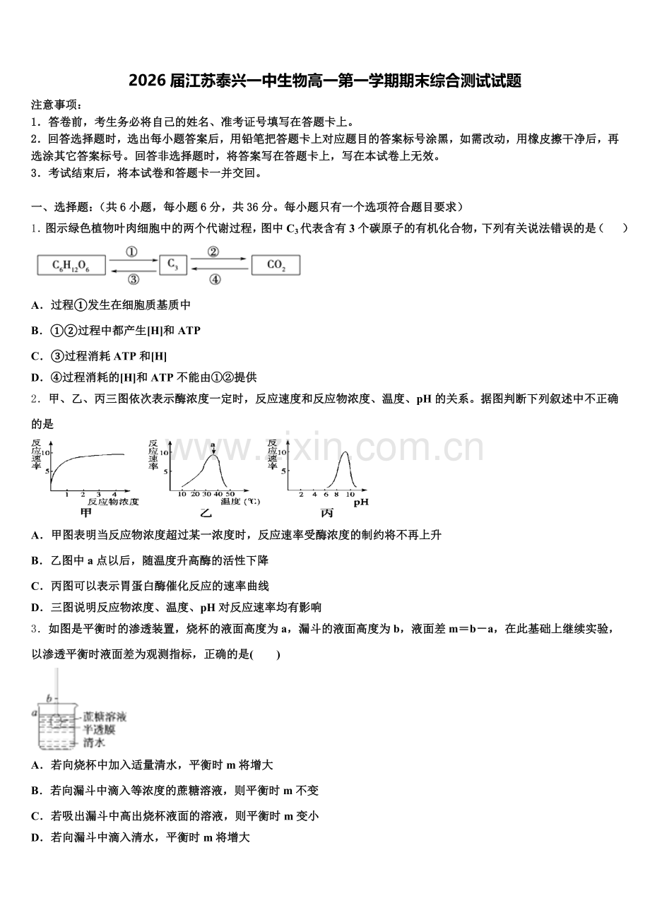 2026届江苏泰兴一中生物高一第一学期期末综合测试试题含解析.doc_第1页