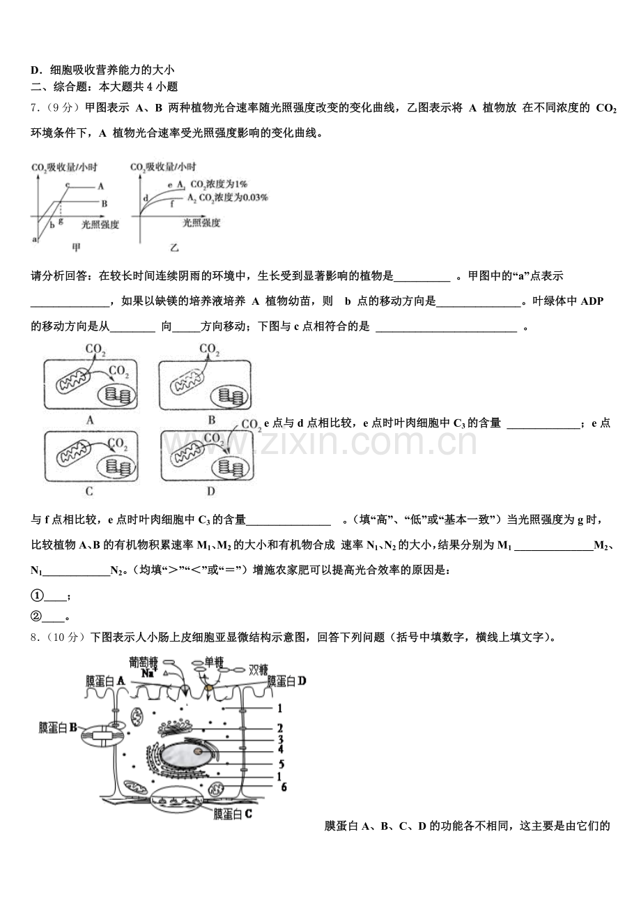 山东专卷博雅闻道2026届生物高一第一学期期末经典试题含解析.doc_第2页