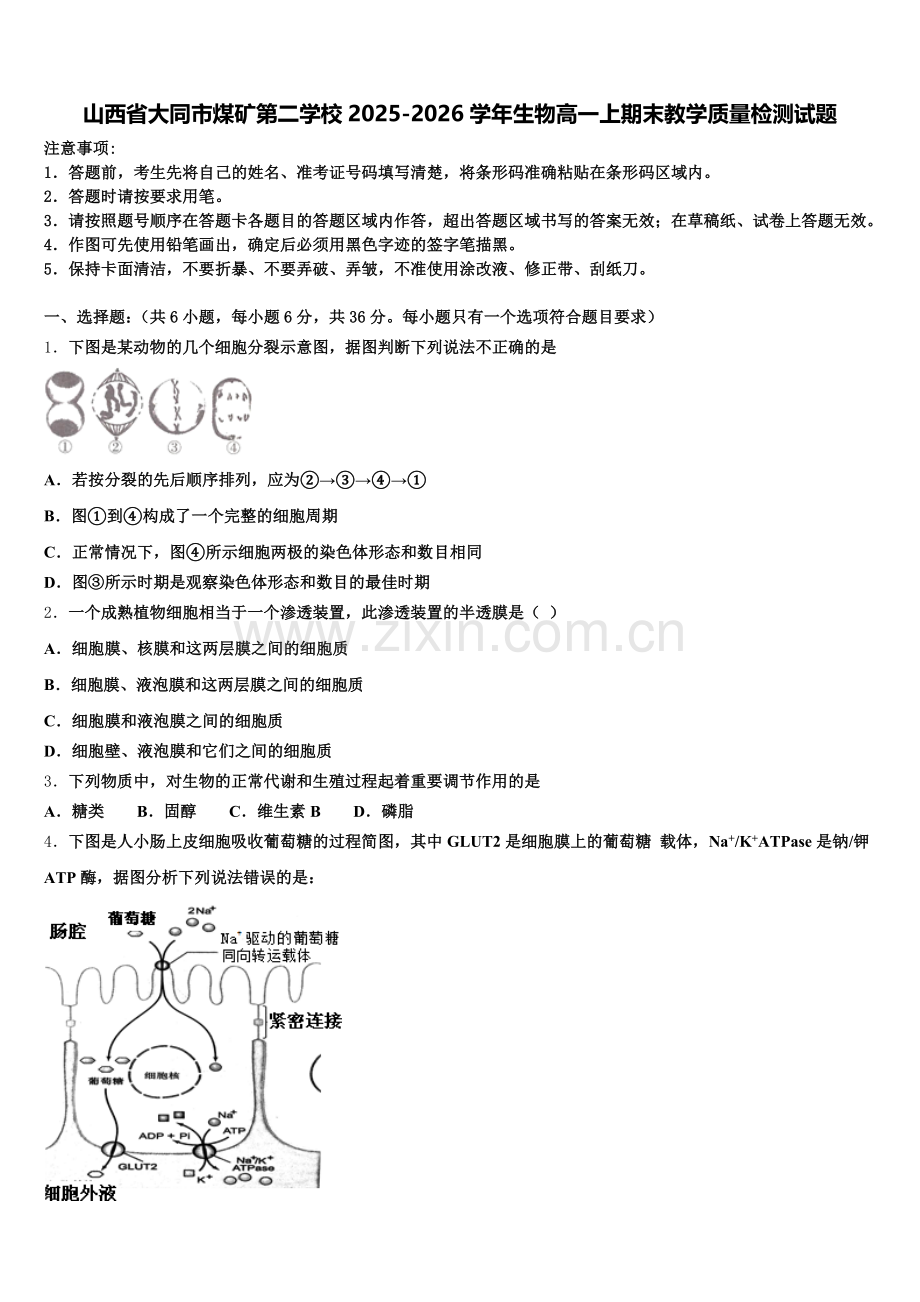 山西省大同市煤矿第二学校2025-2026学年生物高一上期末教学质量检测试题含解析.doc_第1页