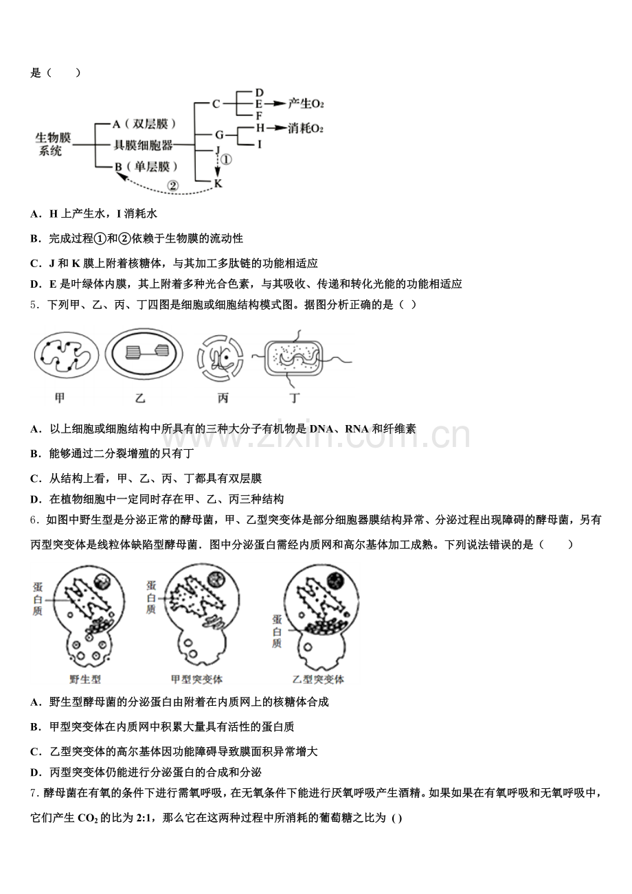 四川省绵阳中学资阳育才学校2025年生物高一第一学期期末质量跟踪监视试题含解析.doc_第2页