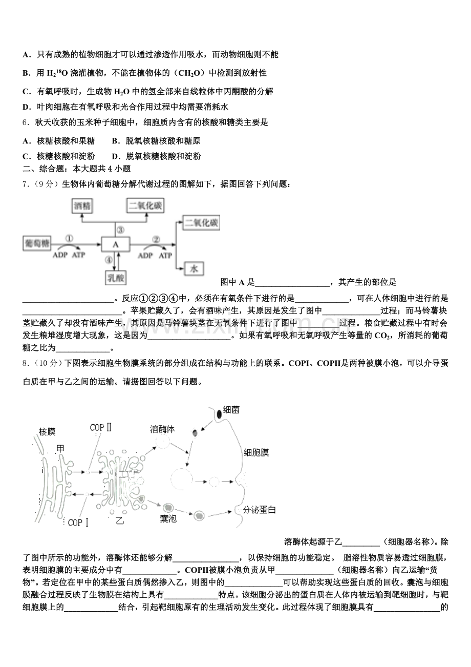 2025-2026学年广西壮族自治区河池市高级中学生物高一上期末统考模拟试题含解析.doc_第2页