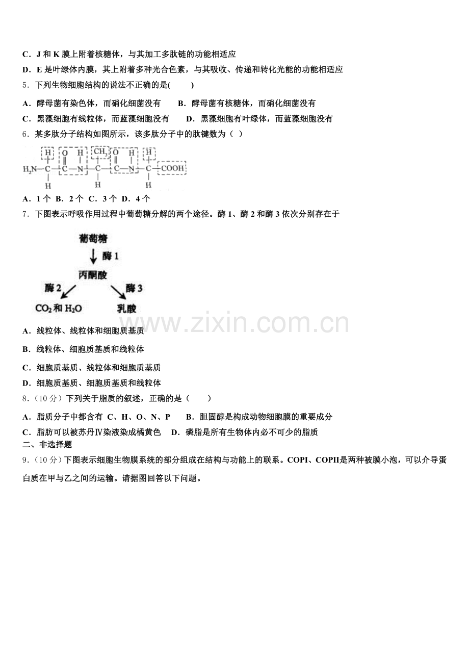 内江市重点中学2025-2026学年高一生物第一学期期末检测模拟试题含解析.doc_第2页