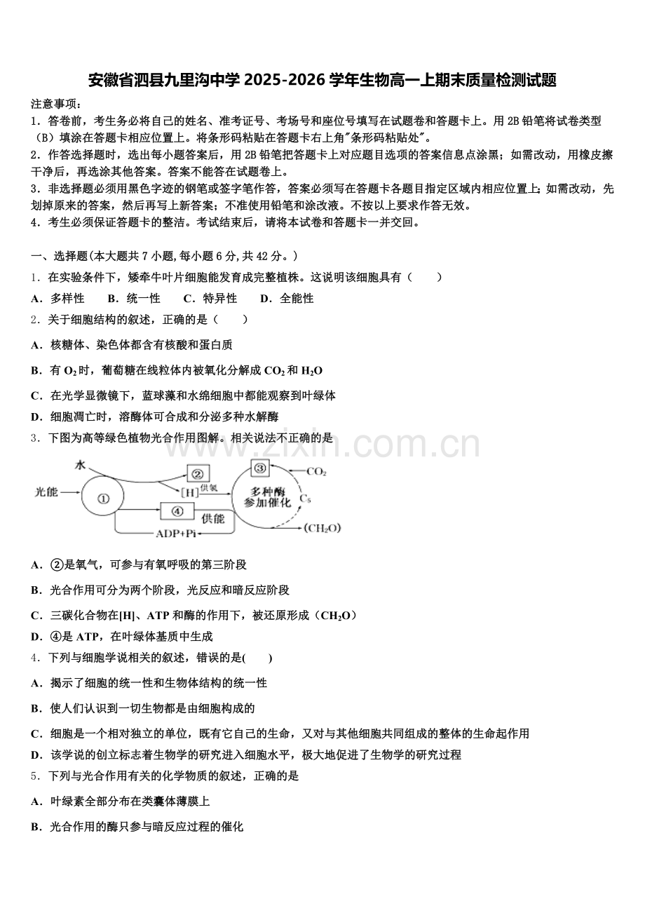 安徽省泗县九里沟中学2025-2026学年生物高一上期末质量检测试题含解析.doc_第1页
