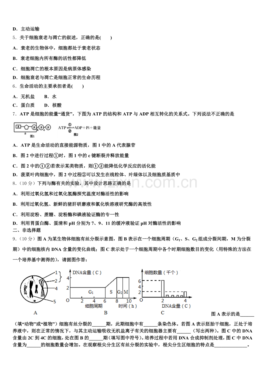 福建省南安一中2025年高一生物第一学期期末联考模拟试题含解析.doc_第2页